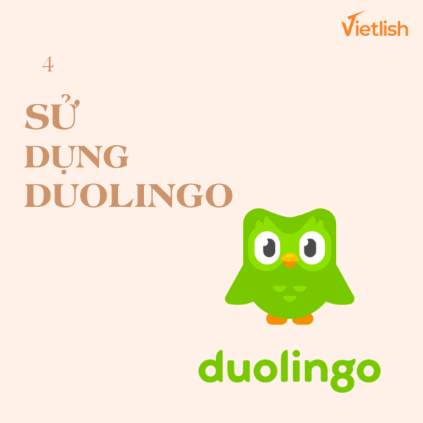 sử dụng duolingo